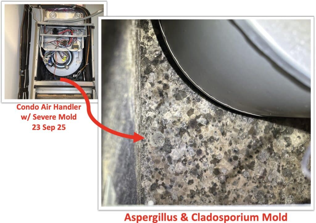 screenshot screenshot